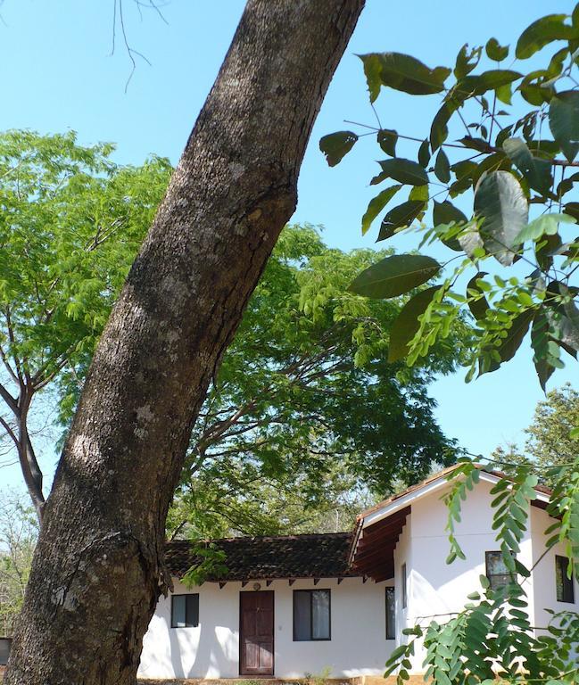 Finca Buena Fuente Residence Hotel Nicoya Exteriör bild