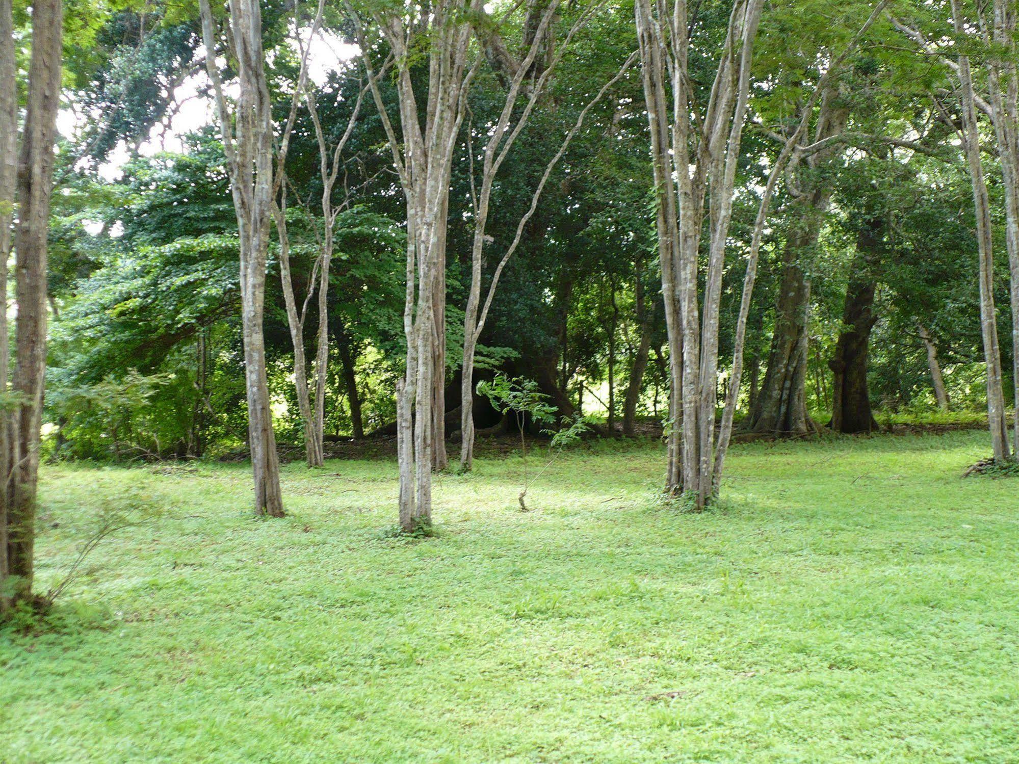 Finca Buena Fuente Residence Hotel Nicoya Exteriör bild